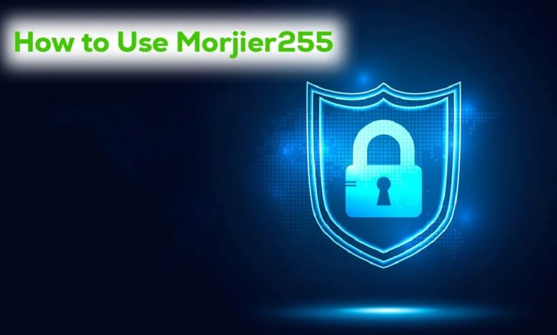 Business Insight: Exploring the Innovative Approach of Morjier255